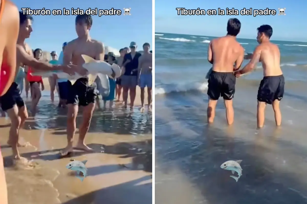 Un tiburón en la Isla del Padre en Texas. Foto: Composición Canva