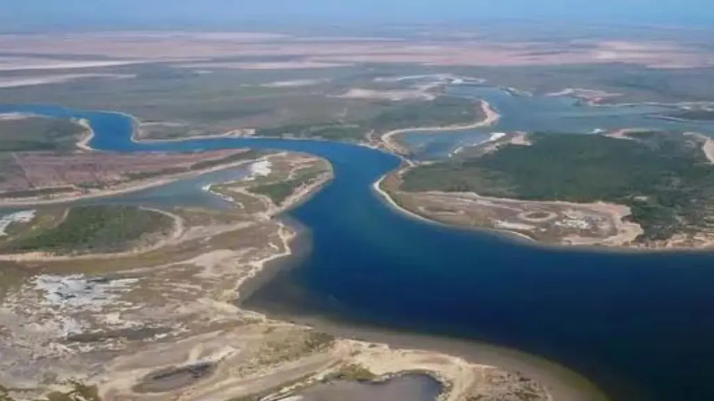 Este lugar de Tamaulipas es un refugio indispensable para especies migratorias y endémicas