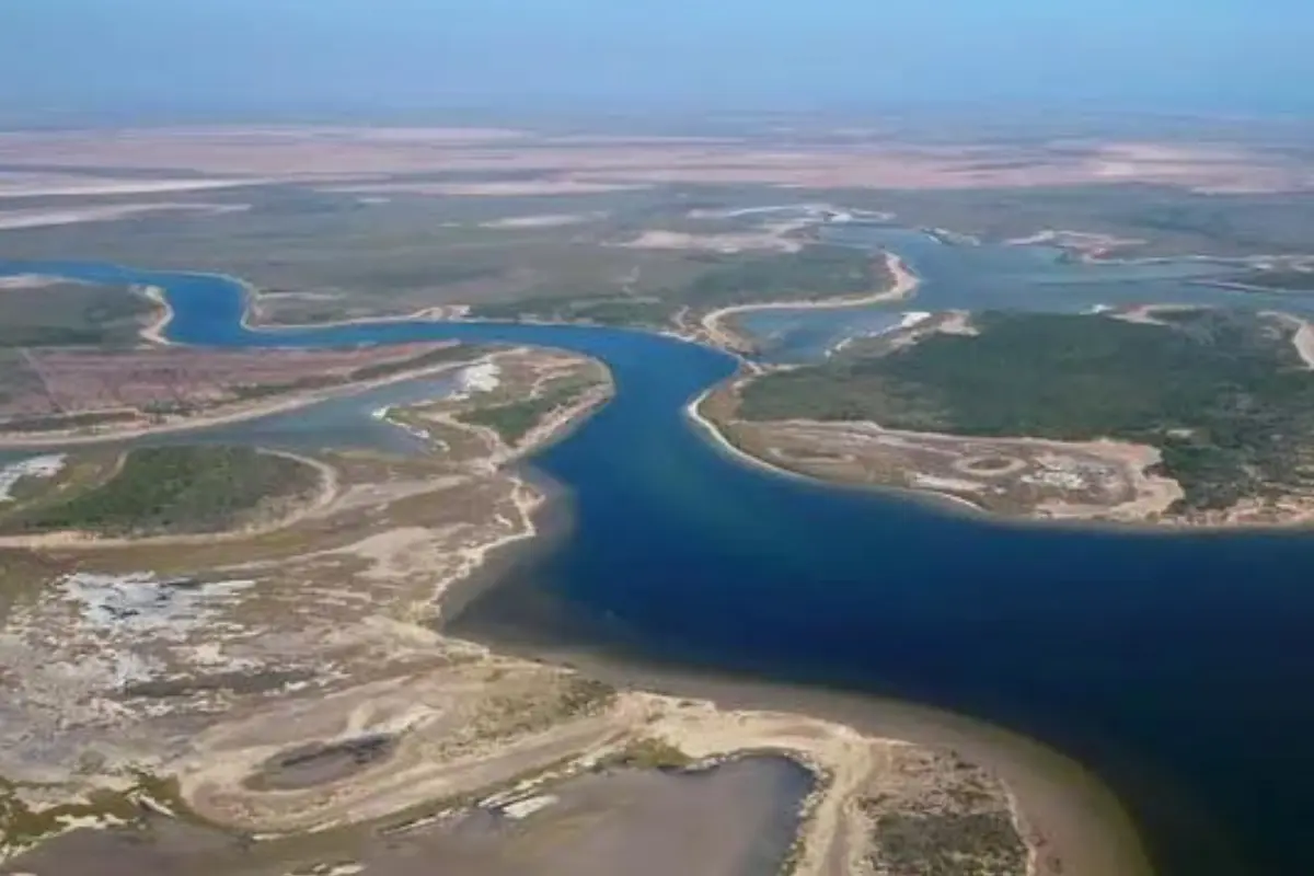 Descubre por qué la Laguna Madre en Tamaulipas es crucial para especies migratorias y endémicas