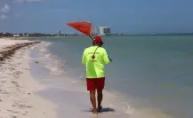 Fauna marina peligrosa en Progreso: ¿por qué fue restringido el acceso al mar?