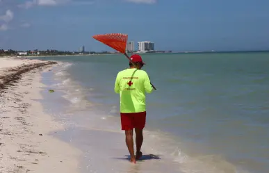 Fauna marina peligrosa en Progreso: ¿por qué fue restringido el acceso al mar?