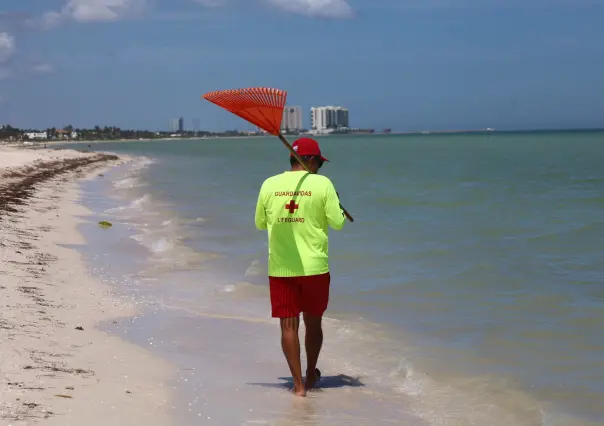 Fauna marina peligrosa en Progreso: ¿por qué fue restringido el acceso al mar?