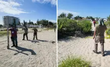 Sigue el desmonte en Sisal: Profepa detecta devastación en dunas y matorral costero