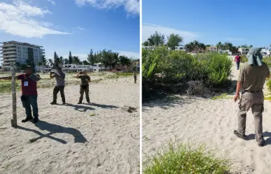 Sigue el desmonte en Sisal: Profepa detecta devastación en dunas y matorral costero