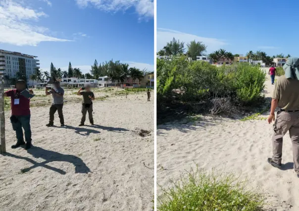 Sigue el desmonte en Sisal: Profepa detecta devastación en dunas y matorral costero