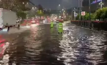 Lluvias en CDMX dejan 15 viviendas afectadas, 32 encharcamientos y 40 árboles caídos