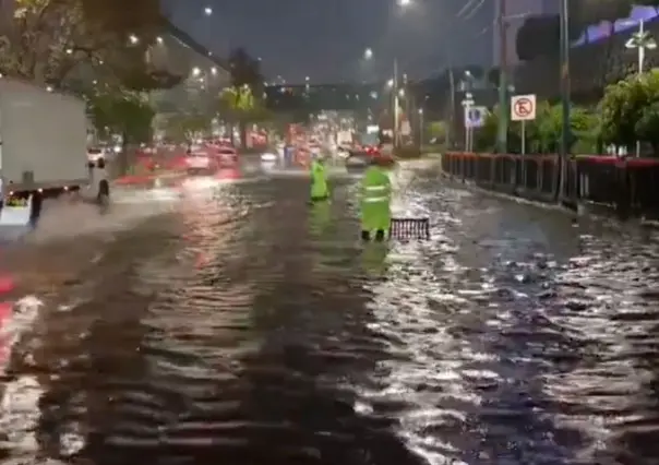 Lluvias en CDMX dejan 15 viviendas afectadas, 32 encharcamientos y 40 &aacute;rboles ca&iacute;dos