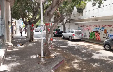 Esta es una de las calles más cortas de La Paz y no lo sabías