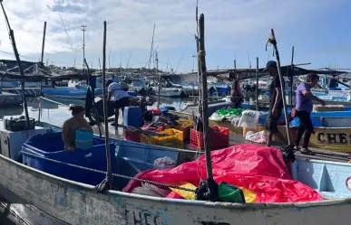 Arranca la captura de pulpo en Yucatán