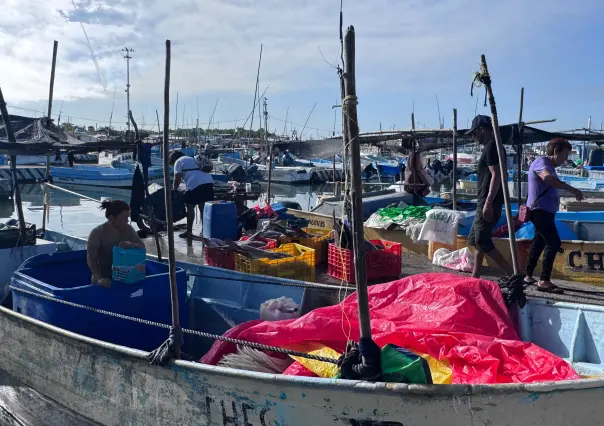 Arranca la captura de pulpo en Yucatán