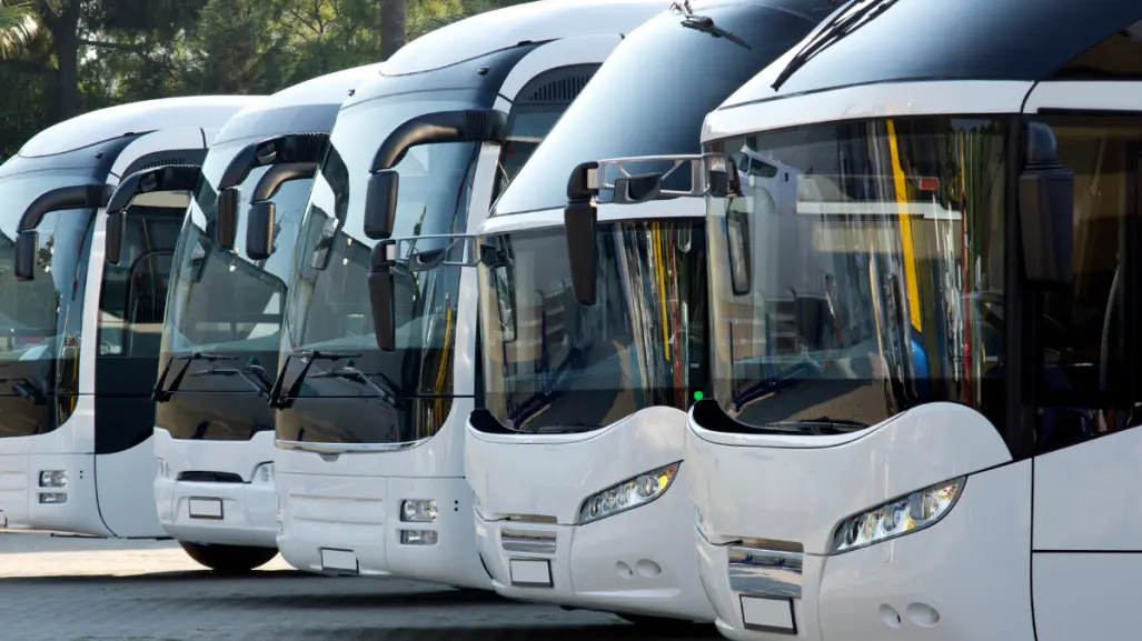 El verano ha traído consigo un notable incremento en la movilidad de familias tamaulipecas.