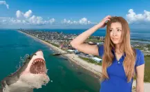 ¿Es seguro nadar en Isla del Padre? El tiburón rescatado por turistas regiomontanos desata preguntas