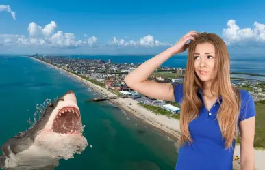 ¿Es seguro nadar en Isla del Padre? El tiburón rescatado por turistas regiomontanos desata preguntas