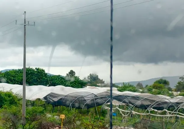 Onda tropical 17: Estos serán los estados más afectados durante su paso, según Conagua