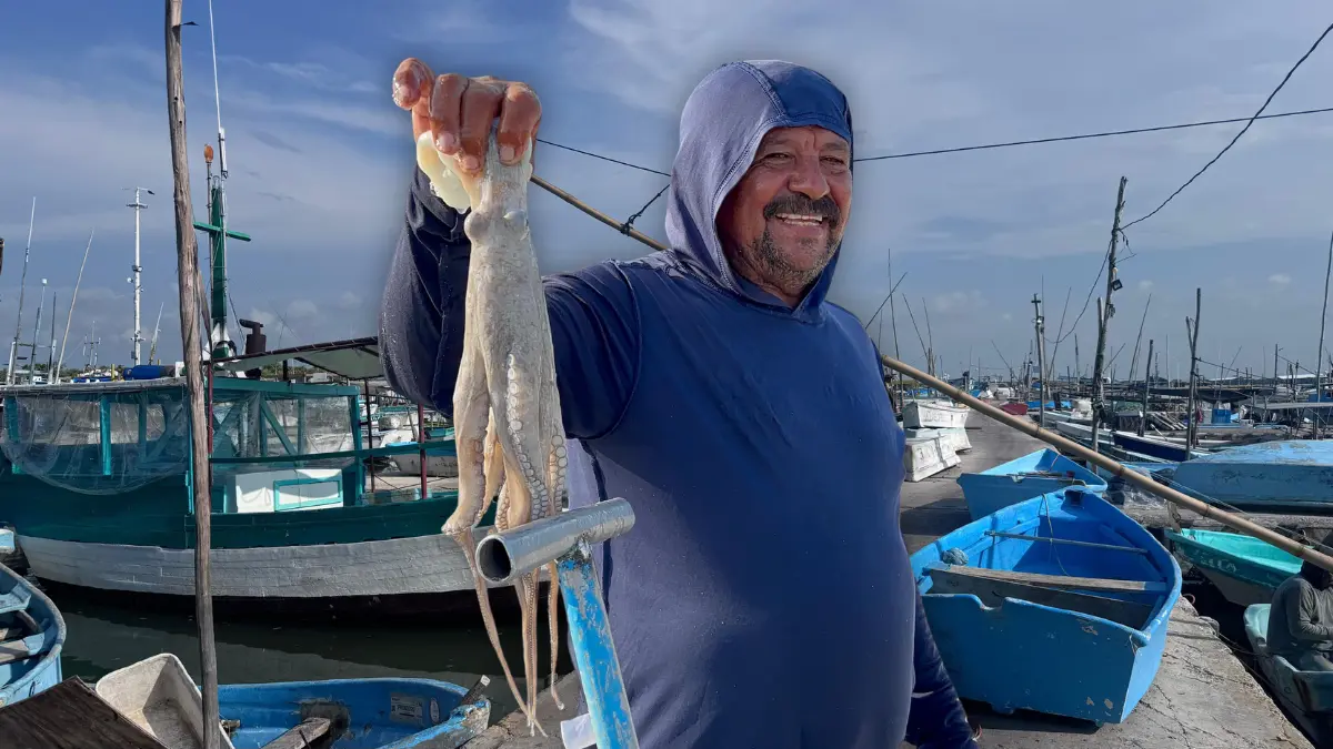 En su primer día de pesca, algunos hombres de mar apenas regresaron con 20 kilos de pulpo Foto: Alejandra Vargas