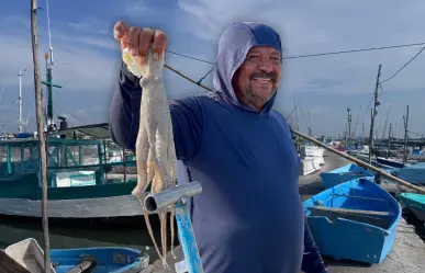 Pesca de pulpo en Yucatán: mal inicio de temporada, piden redoblar vigilancia contra el furtivismo