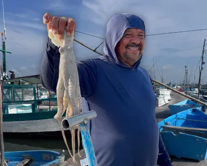 Pesca de pulpo en Yucatán: mal inicio de temporada, piden redoblar vigilancia contra el furtivismo