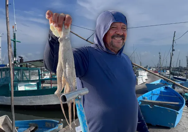 Pesca de pulpo en Yucatán: mal inicio de temporada, piden redoblar vigilancia contra el furtivismo