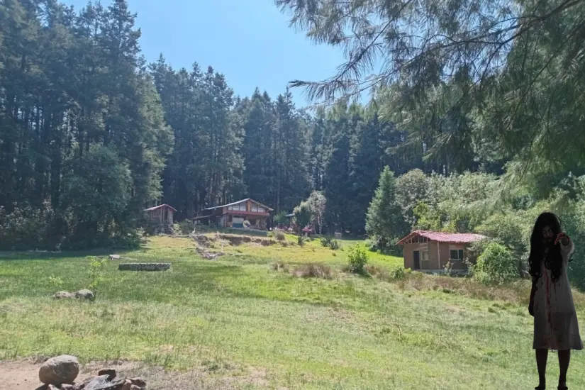 Bosque encantado cerca de la CDMX. Foto: Canva