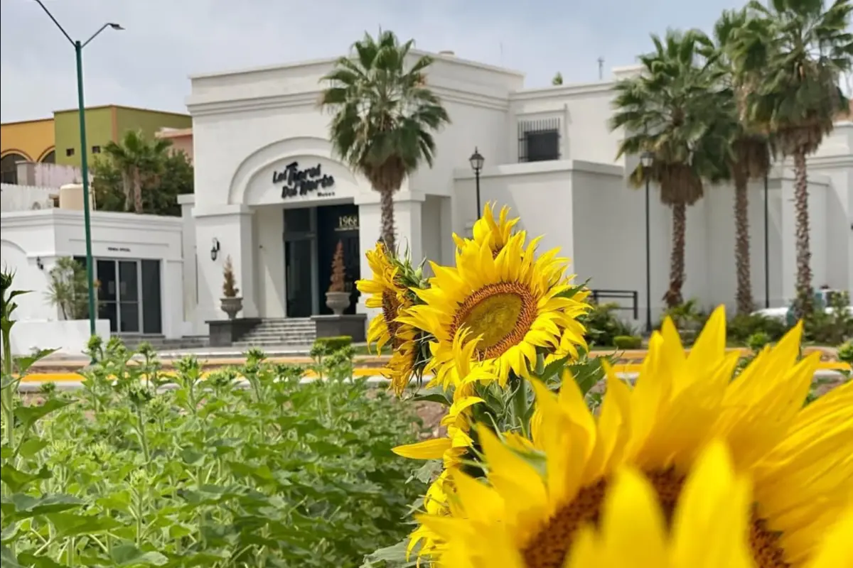 ¿Cerró el Museo Los Tigres del Norte en Mocorito? (Foto: @museo.ltdn / Canva)