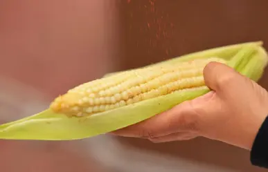 Feria del Elote y el Maíz 2025 Edomex: estos artistas se presentarán en Tonanitla