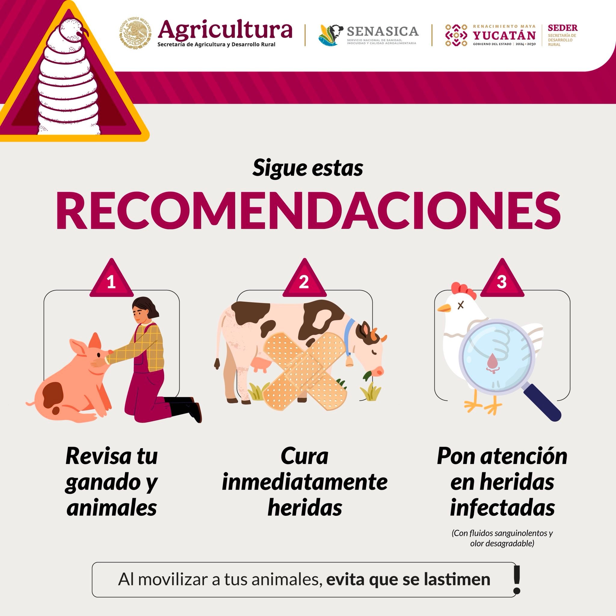 imagen-cuerpo