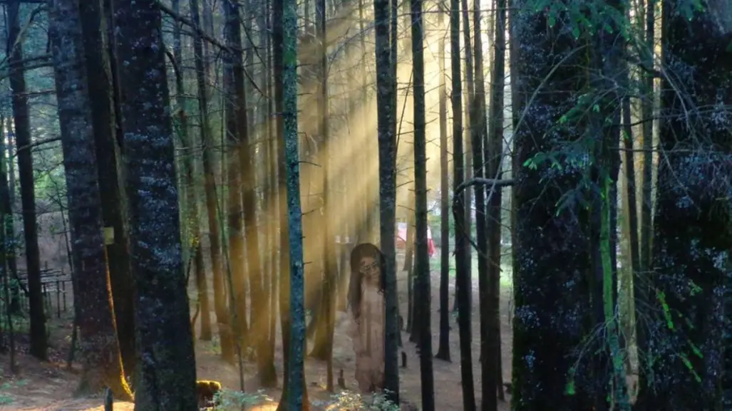 El bosque encantado cerca de CDMX donde todos los visitantes experimentan cosas paranormales