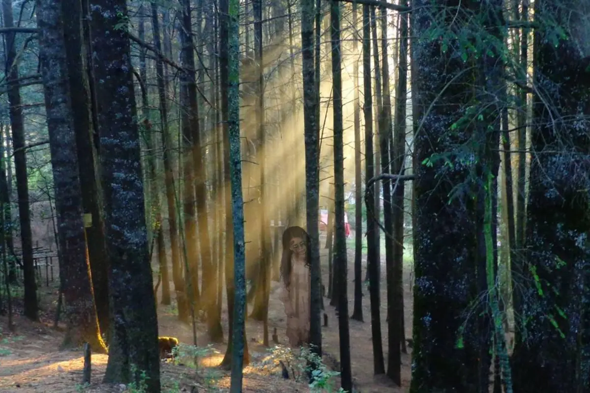 Fantasma encontrada en el bosque Peña Lobo. Foto: Canva
