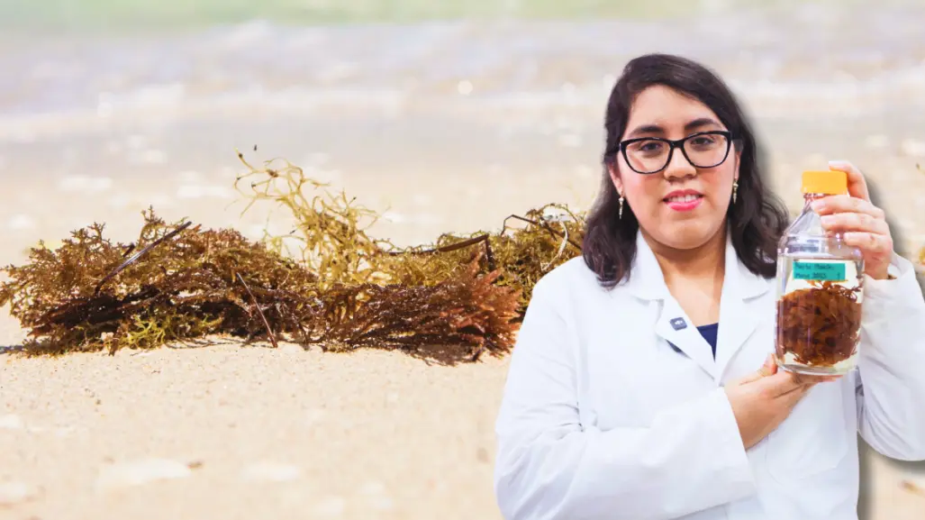 Yucatán será sede del Foro de Innovación Tecnológica Aplicada al Sargazo