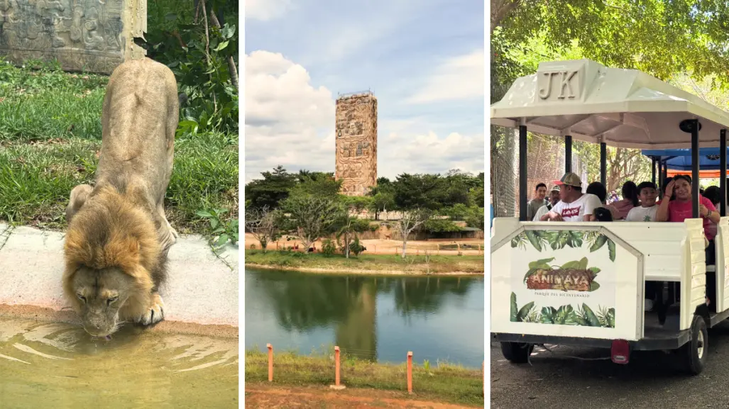 Alta afluencia de visitantes en Animaya por vacaciones de verano en Mérida