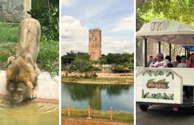 Alta afluencia de visitantes en Animaya por vacaciones de verano en Mérida