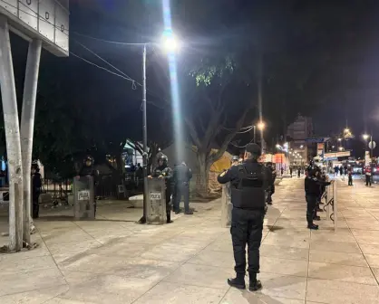 VIDEO | Reubican campamento cannábico "Comuna 4/20" tras acuerdo con el Gobierno de la CDMX