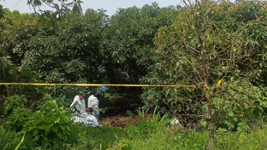 Hallan fosa clandestina en Tepic, Nayarit, con 2 cuerpos dentro