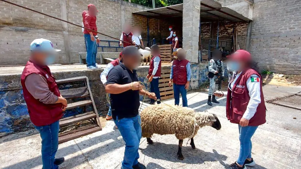 La Fiscalía del Estado de México entregó animales, alimentos y materiales asegurados en operativos. Imagen: GEM