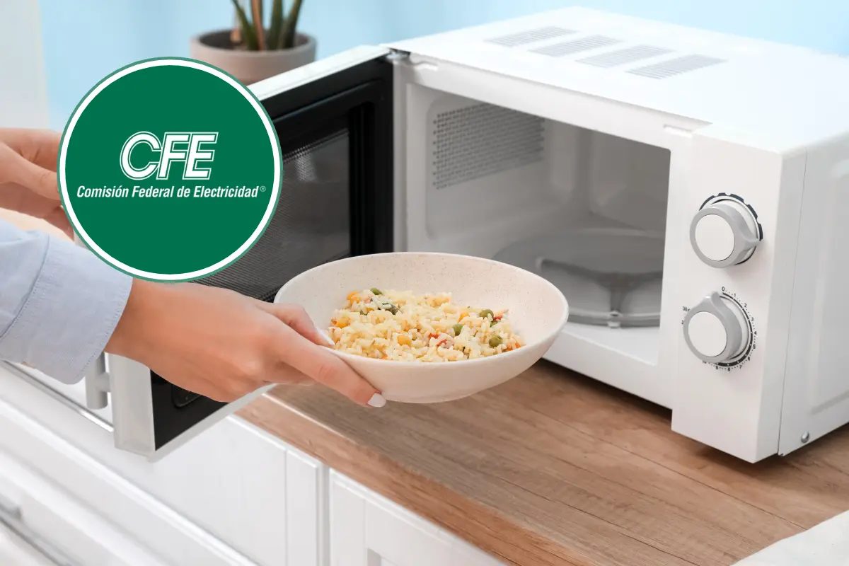 Créditos: CFE, Canva.