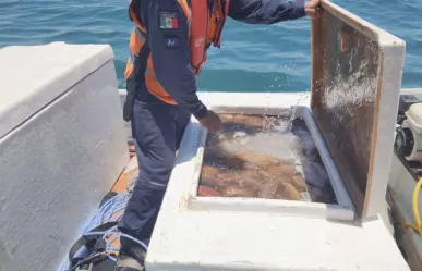 Decomisan en la Península de Yucatán miles de kilos de pesca ilegal en lo que va del 2025