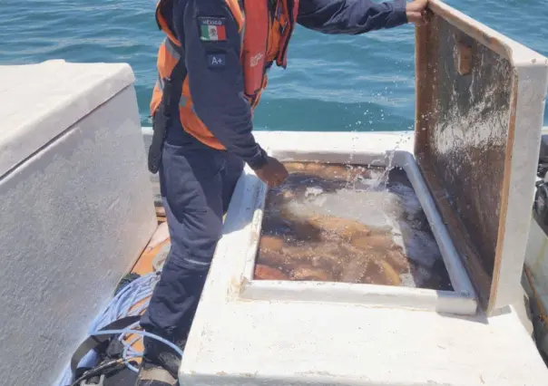 Decomisan en la Península de Yucatán miles de kilos de pesca ilegal en lo que va del 2025