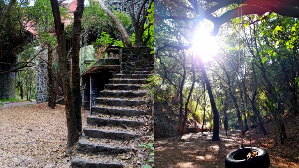 El parque escondido bajo un puente en CDMX que casi nadie visita y es ideal para aislarte del ruido