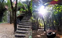 El parque escondido bajo un puente en CDMX que casi nadie visita y es ideal para aislarte del ruido