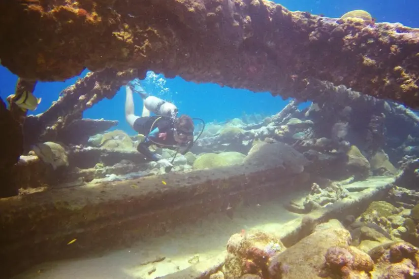 Conoce Isla Lobos y sus espectaculares arrecifes | Foto: XtremeMx