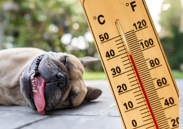 Temperaturas por arriba de 40°C: así es el pronóstico para el clima en BCS
