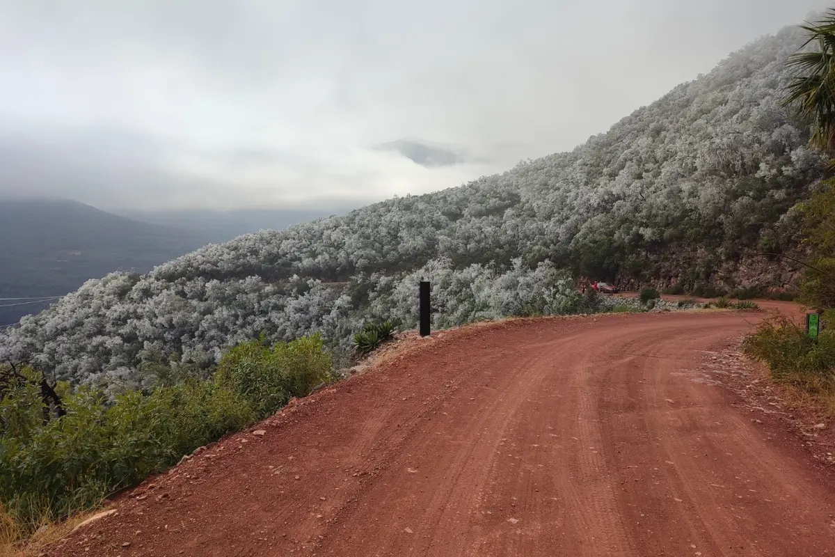 El Camino Real a Tula, ubicado en los ejidos Alta Cumbre y Huizachal de Victoria, es un importante paraje ecoturístico. Foto: Daniel Espinoza