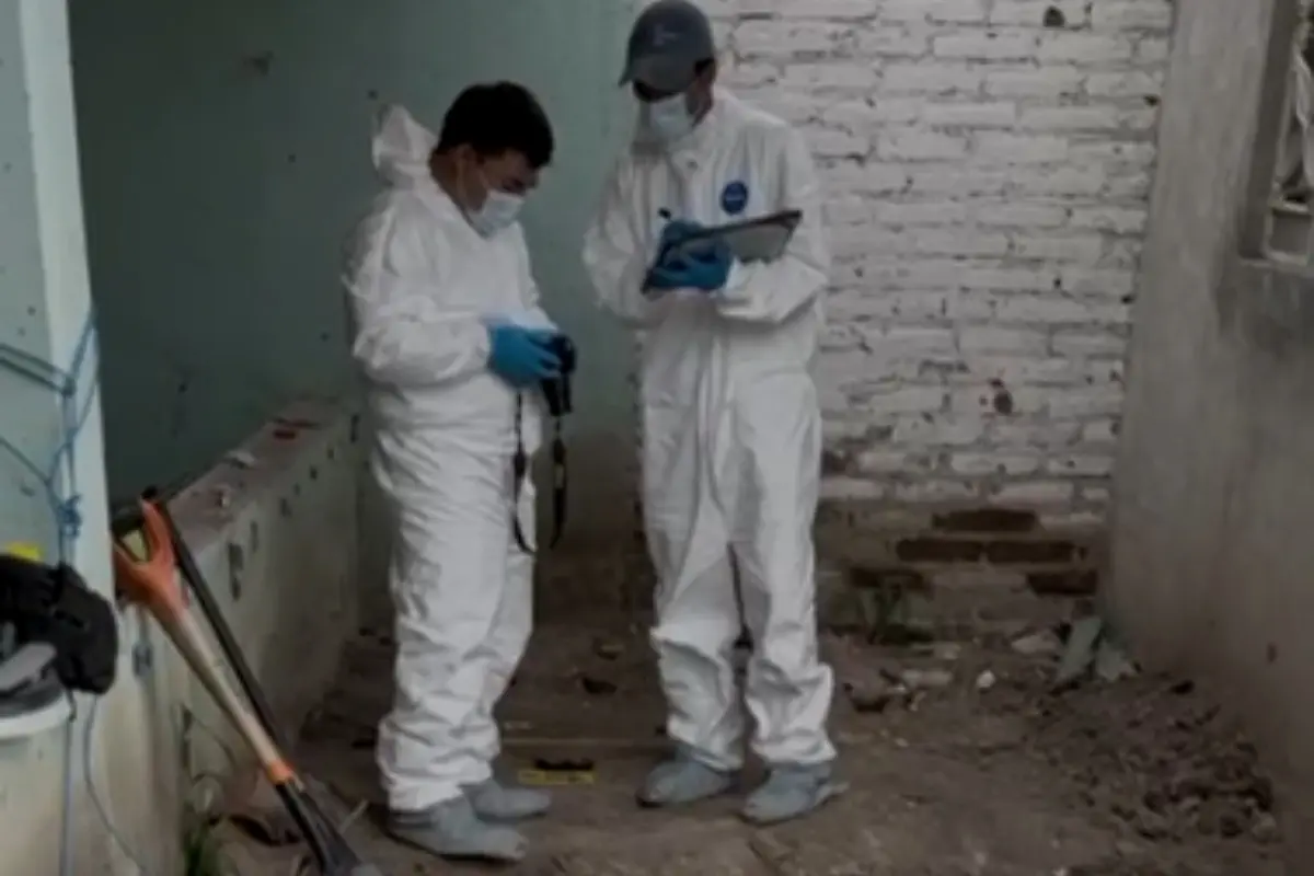 Forenses en fosa clandestina de Irapuato Foto: X(Twitter) @adame_wendoline