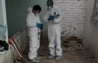 Hallan 32 cuerpos en fosa clandestina de Irapuato, Guanajuato; ya se identificó a 15