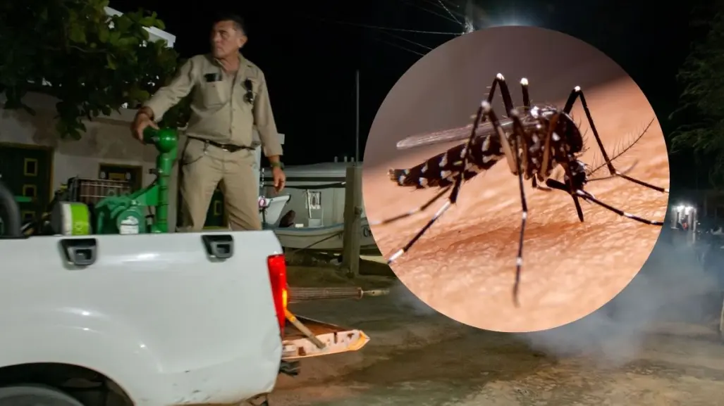 Baja número de casos de dengue en Yucatán: destacan los operativos contra mosquitos