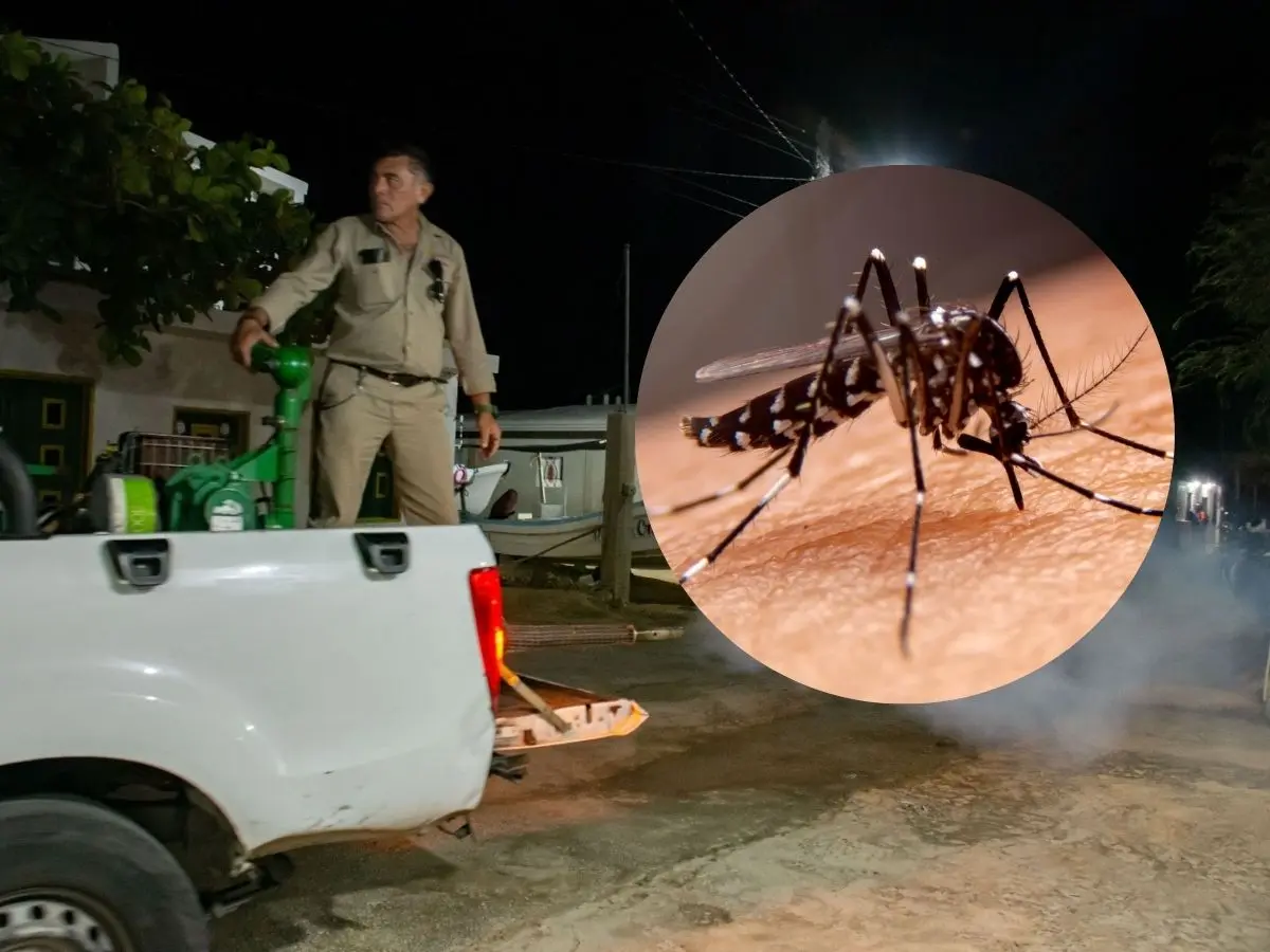 Gracias a la implementación de operativos de fumigación para acabar con el mosco transmisor del dengue, se logró reducir en número de casos de esta enfermedad al pasar de 172 al corte de la semana epidemiológica número 30  del 2024 a 97 casos en el mismo periodo de 2025.- Fuente Gobierno del Estado