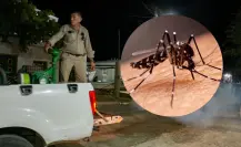 Baja número de casos de dengue en Yucatán: destacan los operativos contra mosquitos