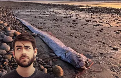 ¿Por qué es raro ver un pez remo en la orilla? Visitante de las profundidades en BCS