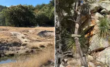 ¿Se vendió Sierra de la Laguna? Habitantes exigen respuestas en el Congreso de BCS