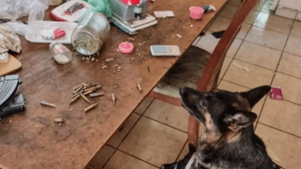 Decomisan armas y droga en cateo en Montemorelos